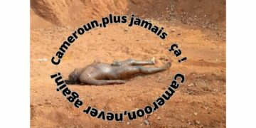 Cameroun, Plus Jamais Ça! / Cameroon, Never Again!