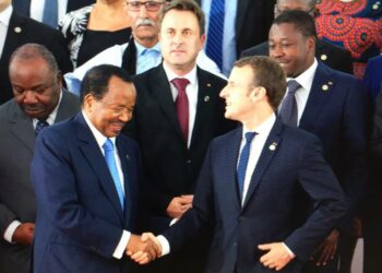 Ces sommets de Paris et leurs habituels figurants de la Françafrique