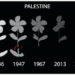 Crimes de guerre à Gaza / War Crimes in Gaza