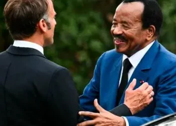 Le Vieux Nègre comme Mascotte de la Françafrique / The Old Negro as the Mascot of Francafrique