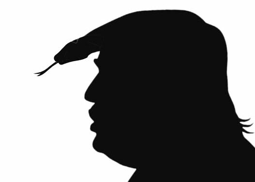 L’extrême droite et la politique performative de la cruauté / Far right politics and the performative politics of cruelty