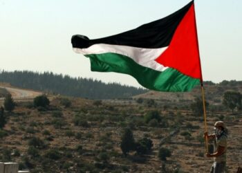 Sur la Reconnaissance de la Palestine par la France et les autres pays / On the recognition of Recognition of Palestine by France and other countries
